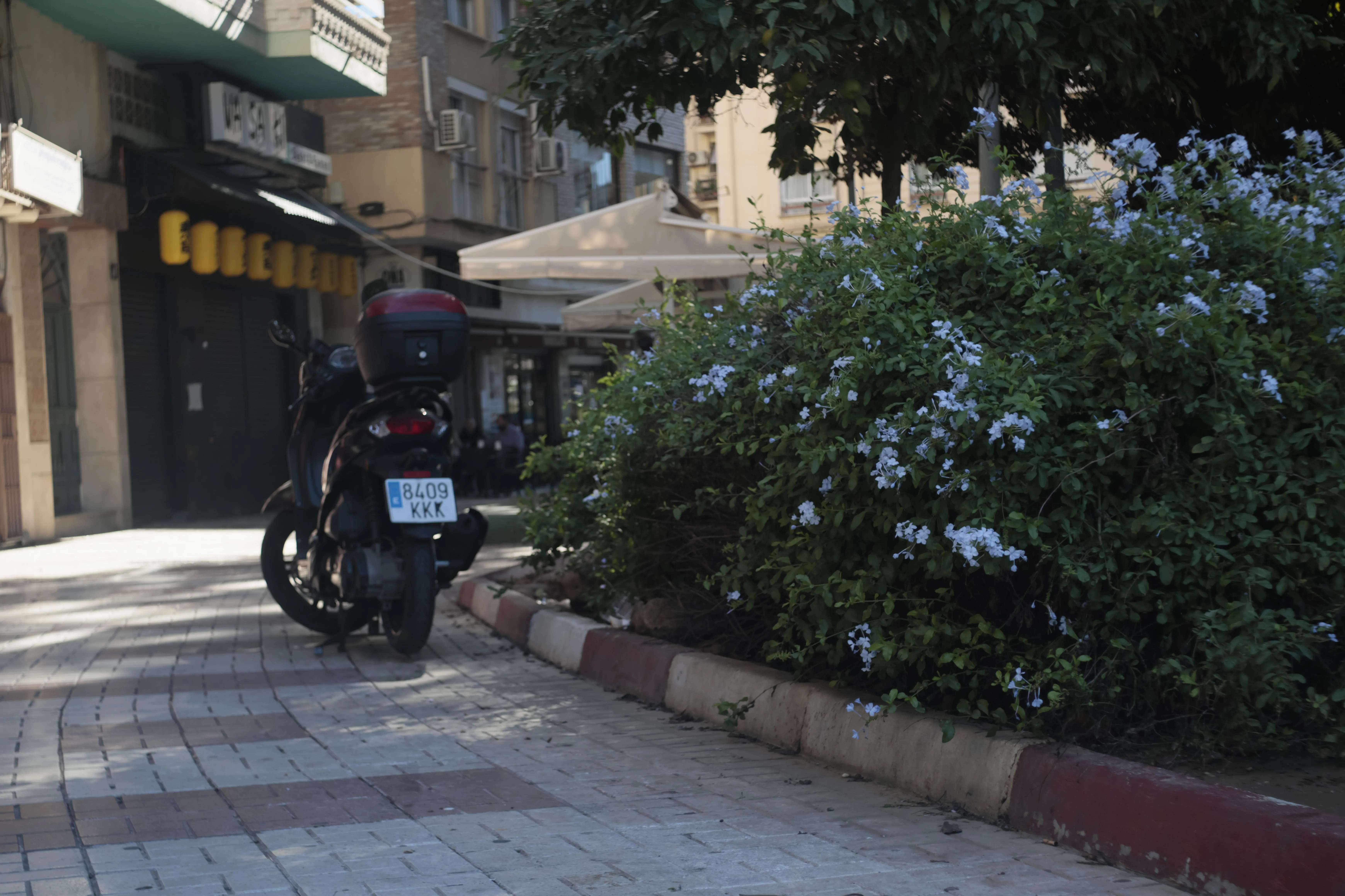 Meyer-Optik Görlitz Primagon 35mm f4.5 (M42) - _I4A1010.webp